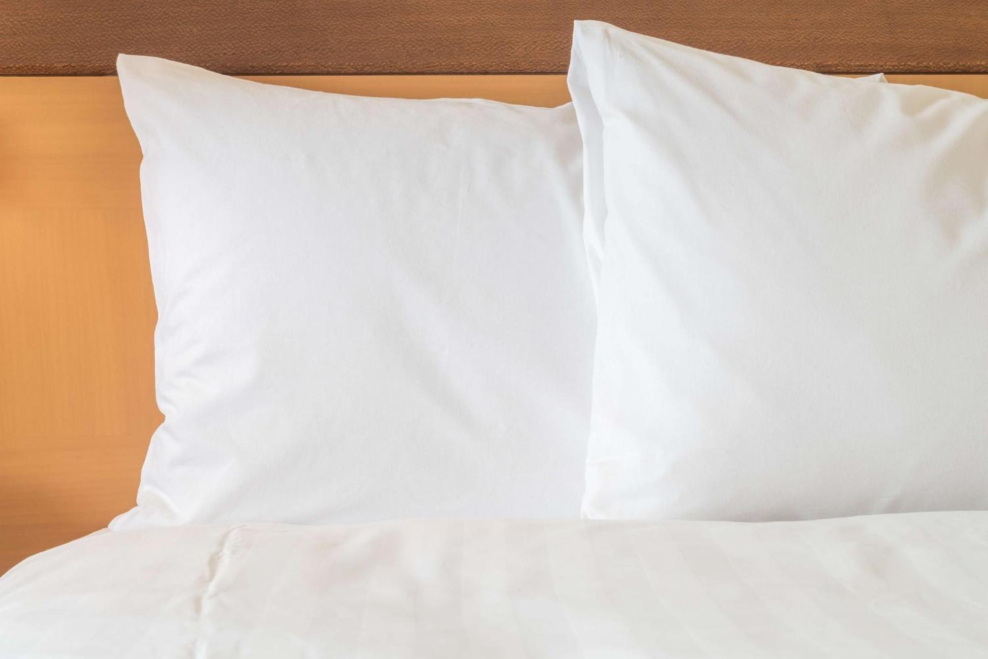 Holiday Inn Chicago O'Hare - Rosemont By Ihg Buitenkant foto